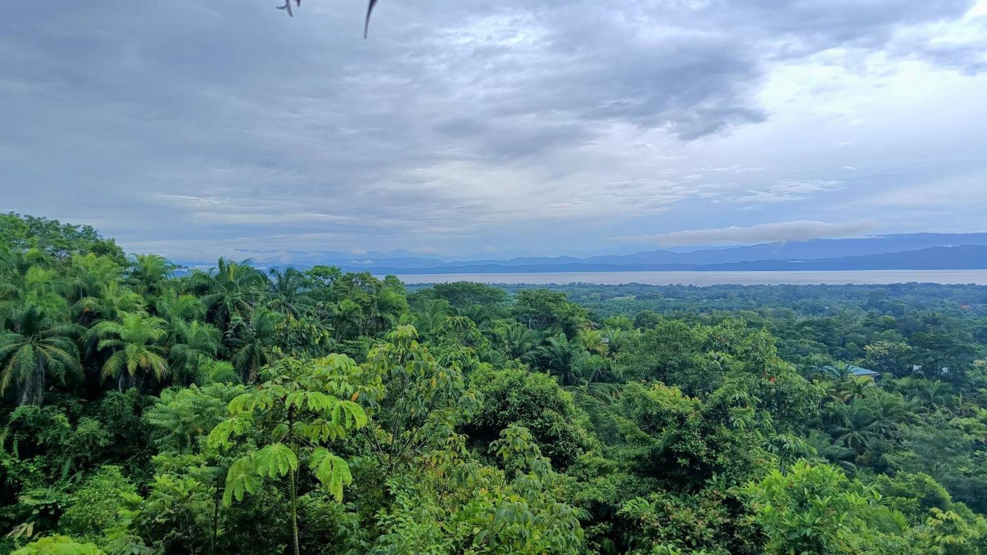 Corcovado Private Villas - Corcovado Private Reserve Пуэрто-Хименес Экстерьер фото