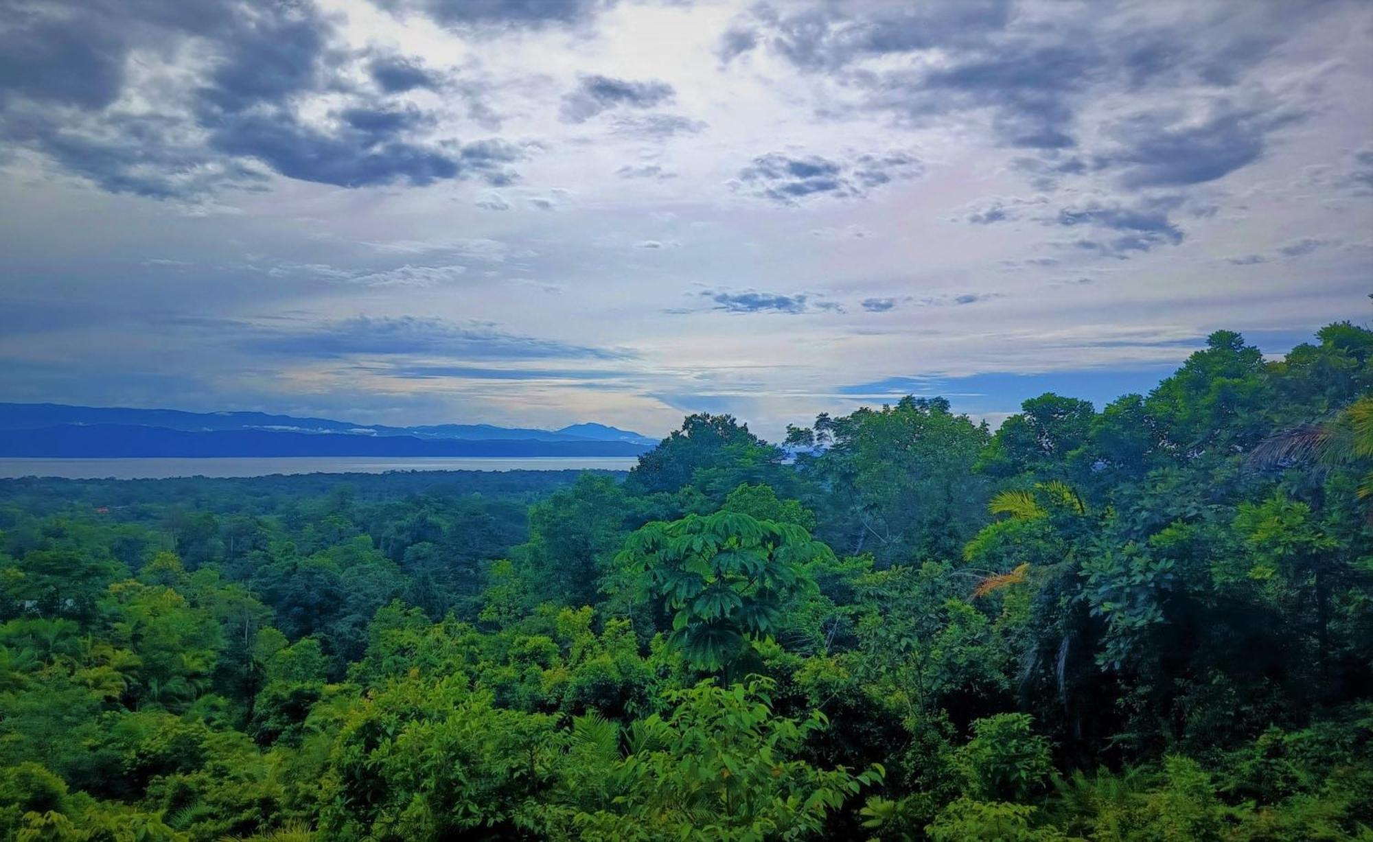 Corcovado Private Villas - Corcovado Private Reserve Пуэрто-Хименес Экстерьер фото