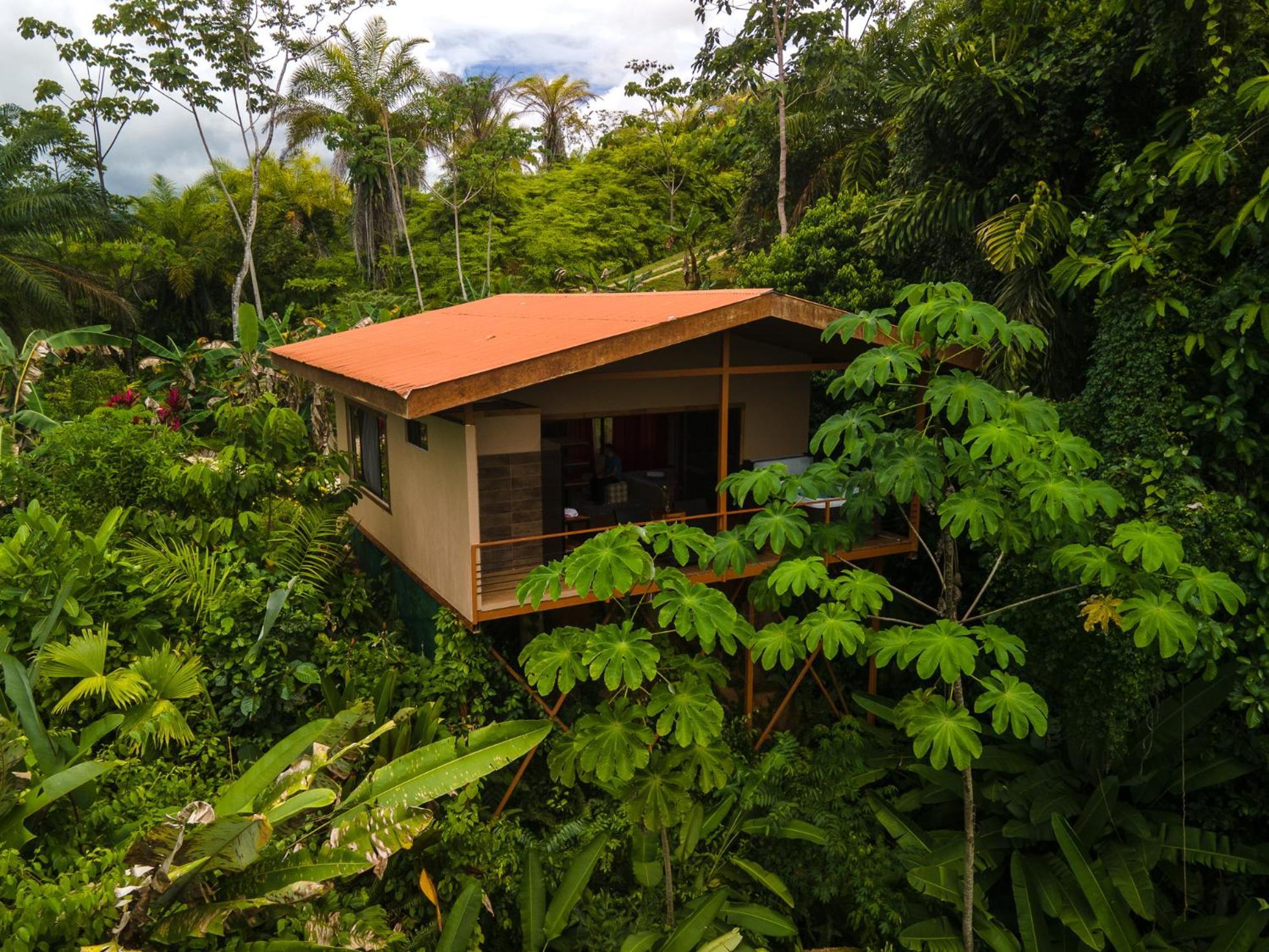 Corcovado Private Villas - Corcovado Private Reserve Пуэрто-Хименес Экстерьер фото