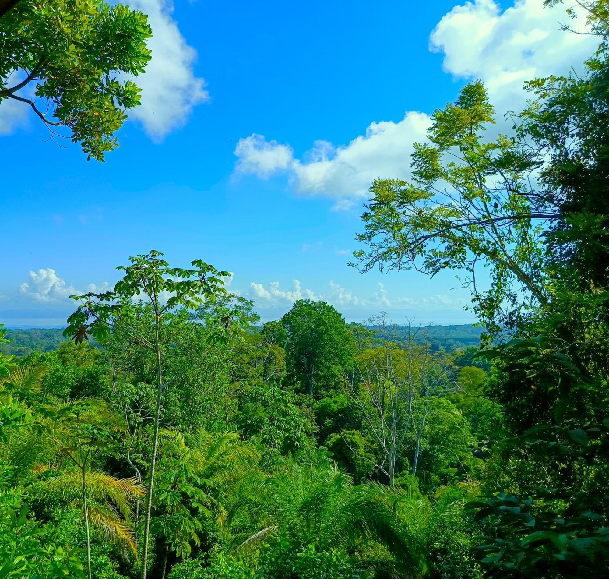 Corcovado Private Villas - Corcovado Private Reserve Пуэрто-Хименес Экстерьер фото