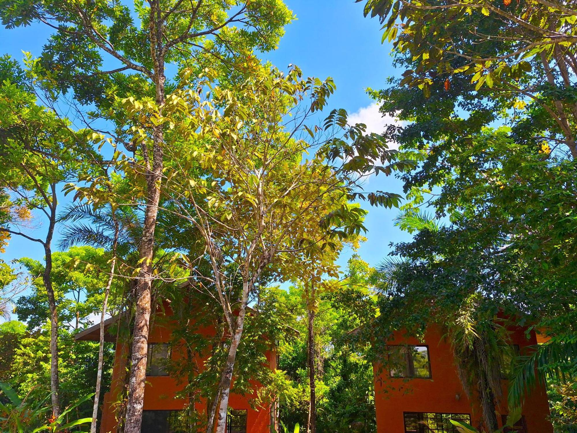 Corcovado Private Villas - Corcovado Private Reserve Пуэрто-Хименес Экстерьер фото