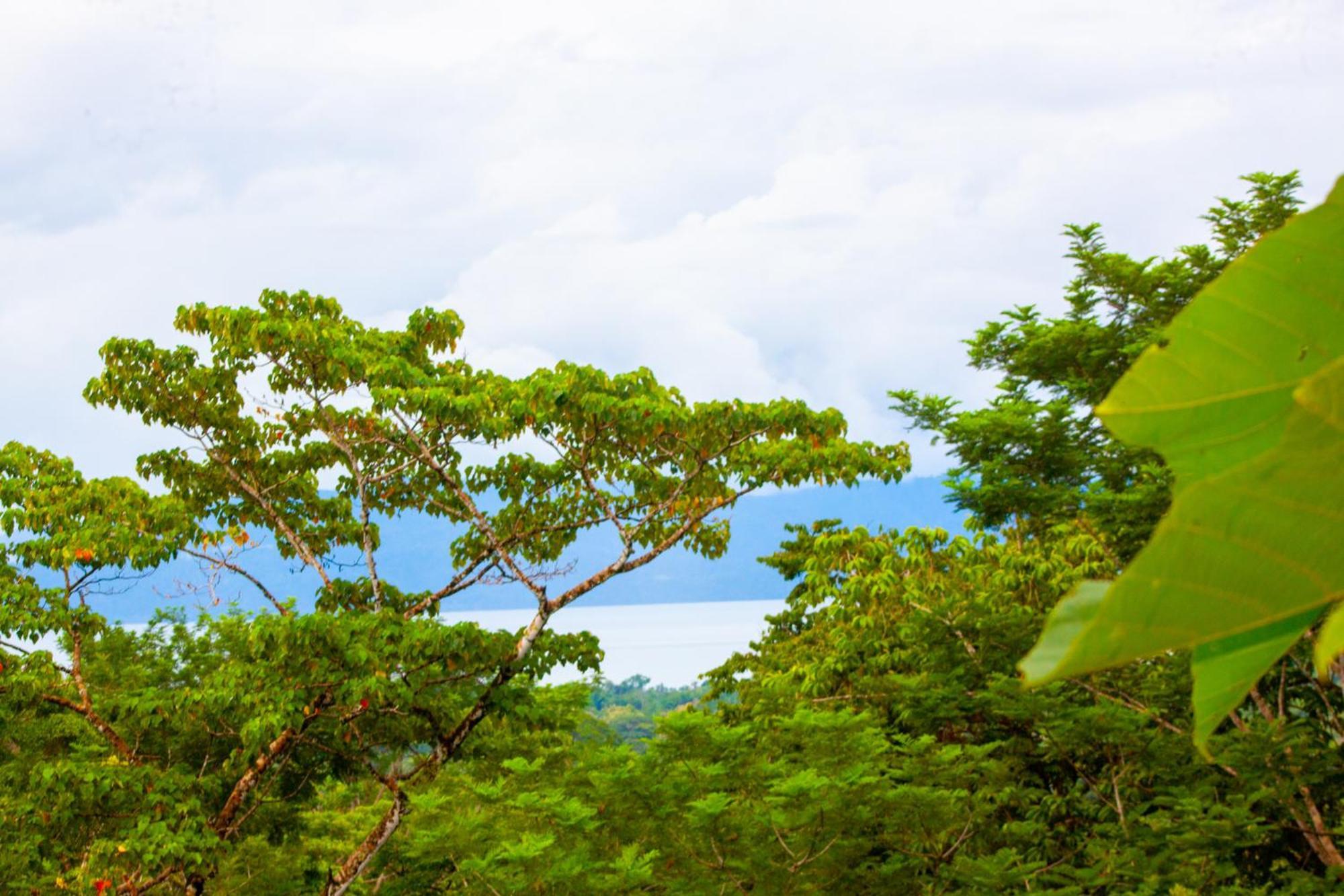 Corcovado Private Villas - Corcovado Private Reserve Пуэрто-Хименес Экстерьер фото